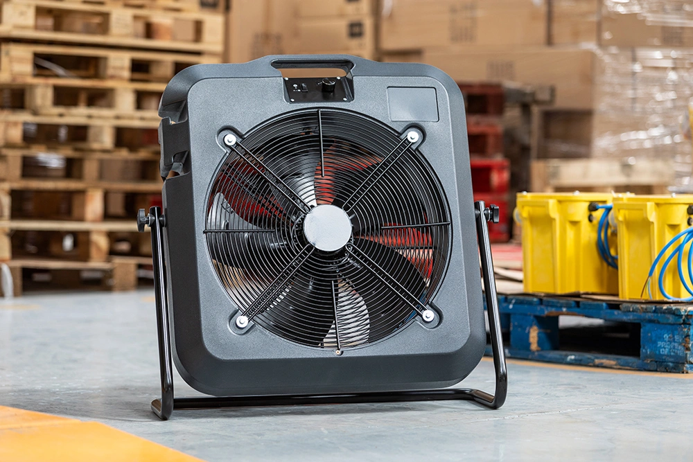 Fan Hire